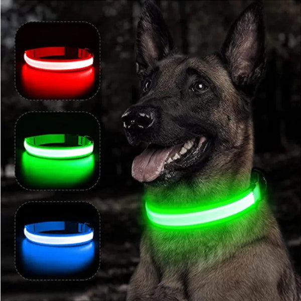 LED Glowing Dog Collar - HeyBless